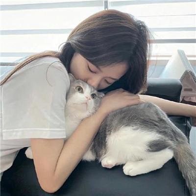 汤姆维特